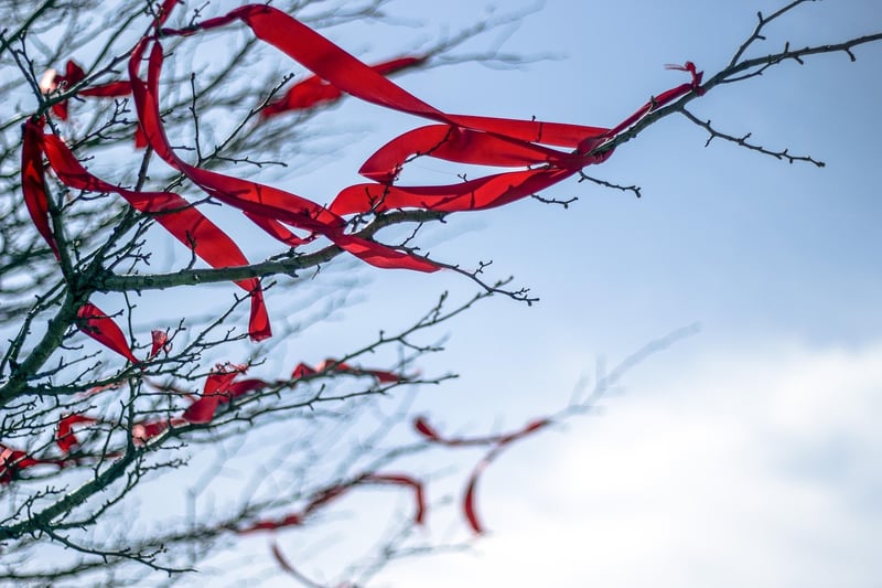 Wishing Tree Experience